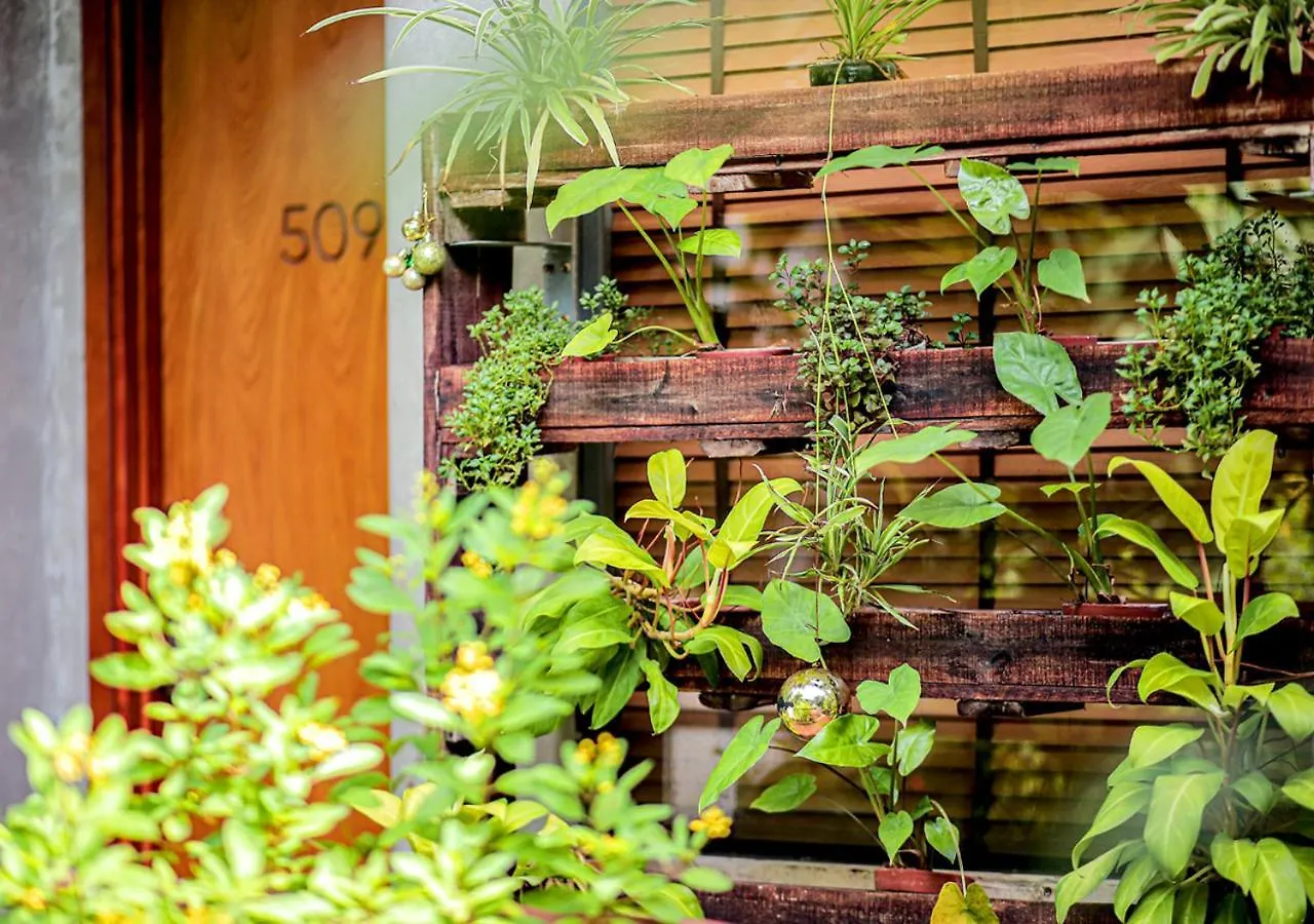 5-Homestay I Vung Tau Homestay